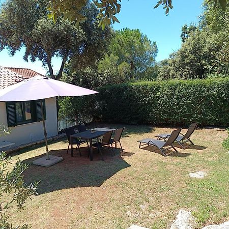 Garden Apartment Pjescana Uvala Exterior photo